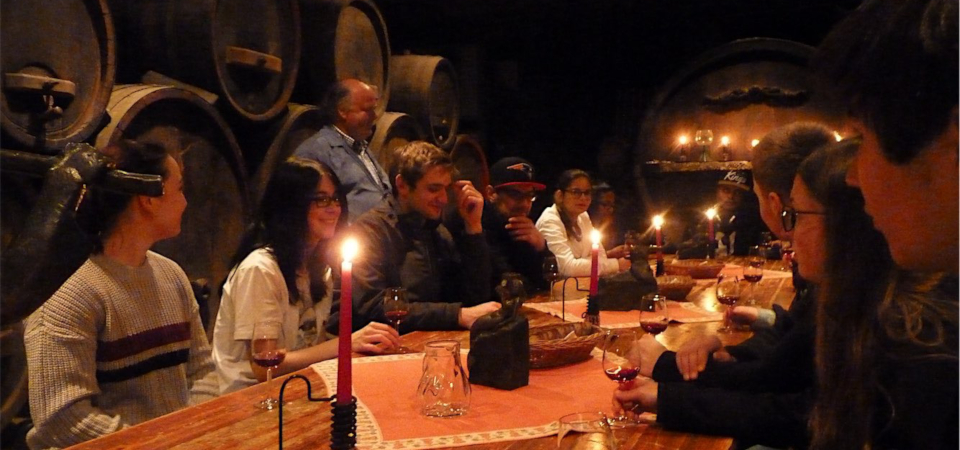 Weinbergbesichtigung